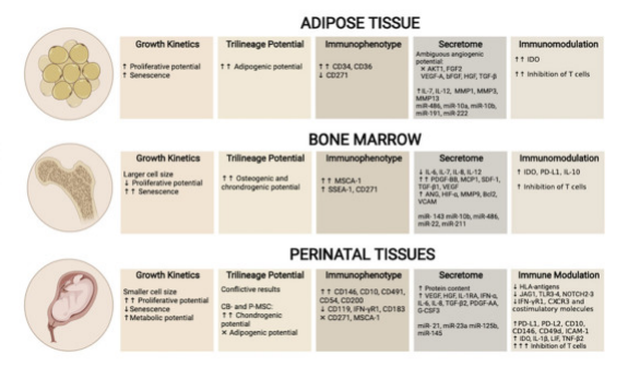 △?UC-MSC、AT-MSC及BM-MSC生物差異性對比，圖中額外增加表面標志物對比