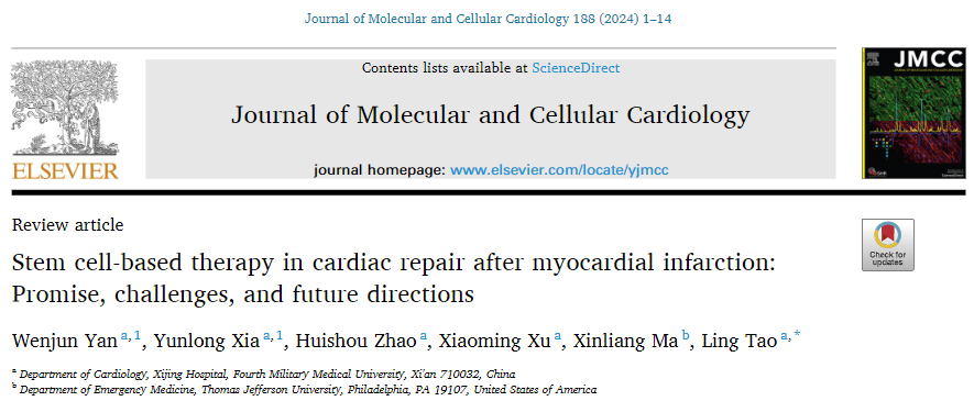 干細胞治療效果不佳？這四招能助你效果大增！