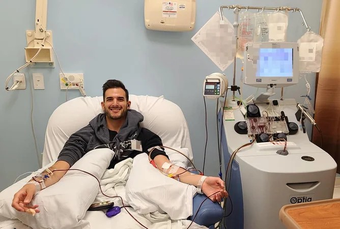 大多數干細胞是在哪里采集的？