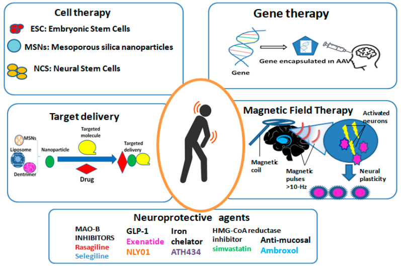 圖2：帕金森病的新療法概述。