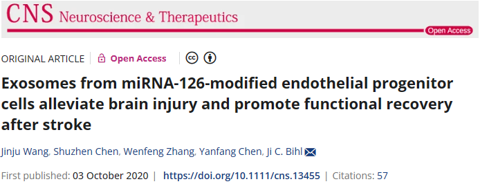 miRNA-126修飾內(nèi)皮祖細胞的外泌體可減輕腦損傷并促進中風后功能恢復 miRNA-126修飾內(nèi)皮祖細胞的外泌體可減輕腦損傷并促進中風后功能恢復