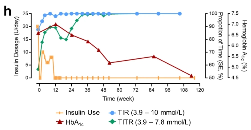 116周期間 TITR、TIR 和 HbA1c 以及胰島素劑量的臨床測(cè)量值 116周期間 TITR、TIR 和 HbA1c 以及胰島素劑量的臨床測(cè)量值