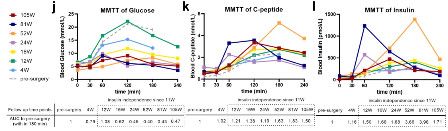 來(lái)自 MMTT 測(cè)定的血清空腹和進(jìn)餐刺激的循環(huán)葡萄糖、C 肽和胰島素水平 來(lái)自 MMTT 測(cè)定的血清空腹和進(jìn)餐刺激的循環(huán)葡萄糖、C 肽和胰島素水平