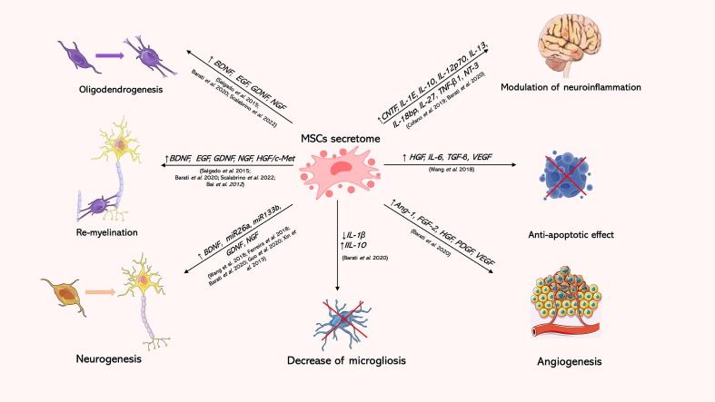 MSCs衍生的EV的給藥也已在不同的神經和精神疾病領域進行了探索