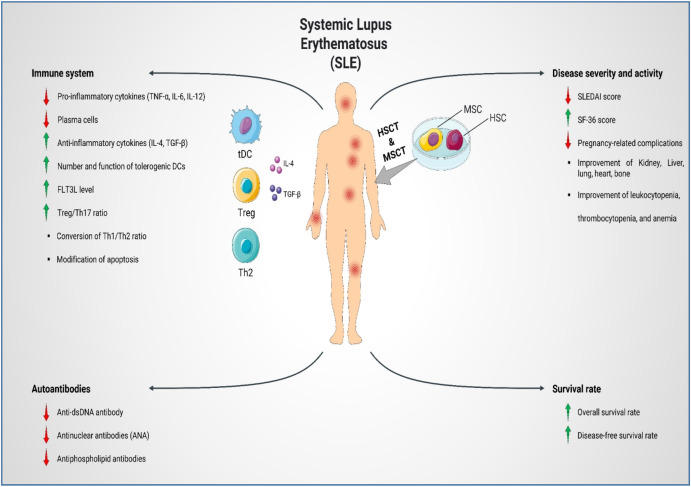 圖1:SLE患者的疾病發(fā)病機(jī)制、嚴(yán)重程度和活動性。 圖1:SLE患者的疾病發(fā)病機(jī)制、嚴(yán)重程度和活動性。
