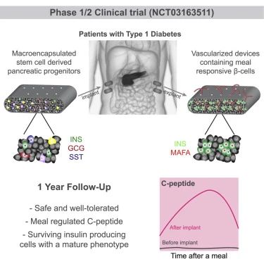 1/2期臨床試驗(NCT03163511) 1/2期臨床試驗(NCT03163511)
