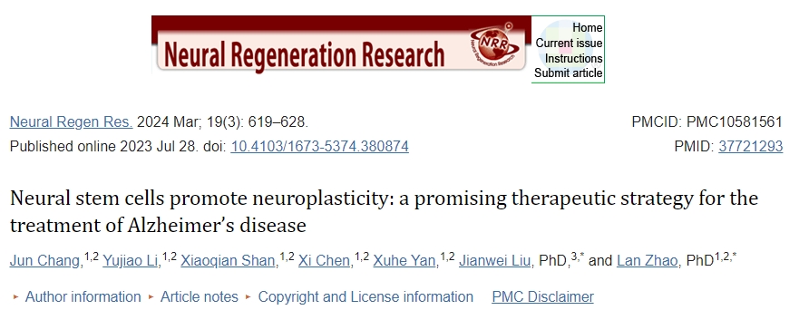 神經干細胞促進神經可塑性:一種治療阿爾茨海默病的有前途的治療策略 神經干細胞促進神經可塑性:一種治療阿爾茨海默病的有前途的治療策略