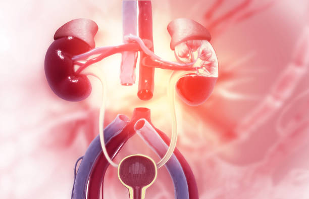 急性腎損傷的原因和潛在病因 急性腎損傷的原因和潛在病因