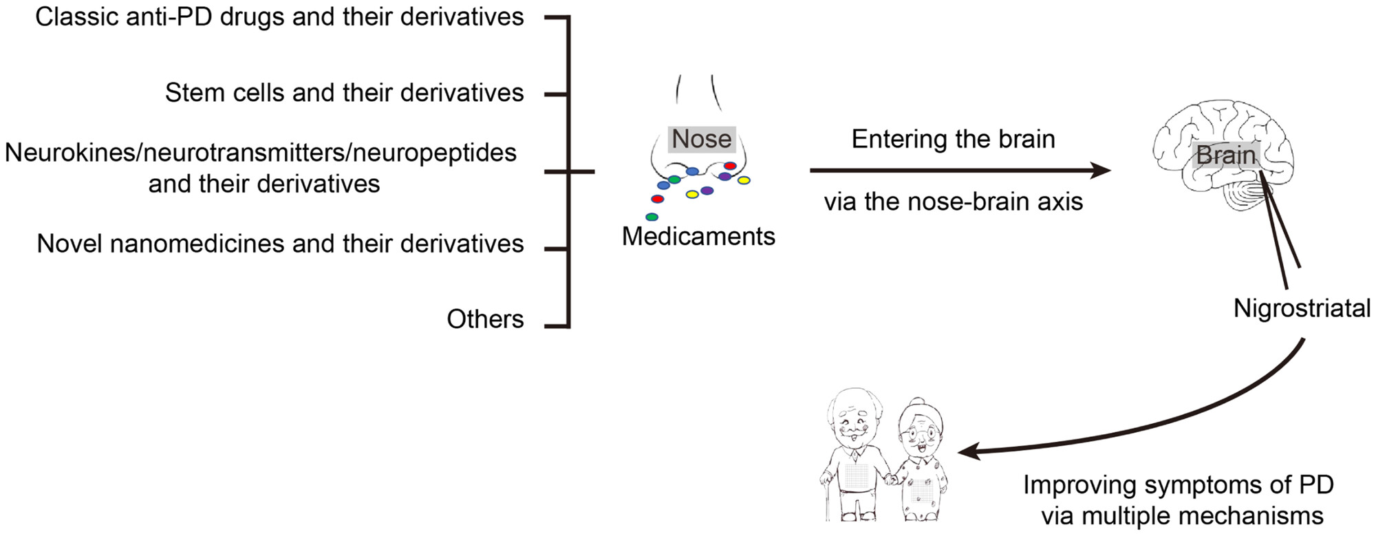 圖1：鼻內治療：帕金森?。≒D）的有希望的選擇