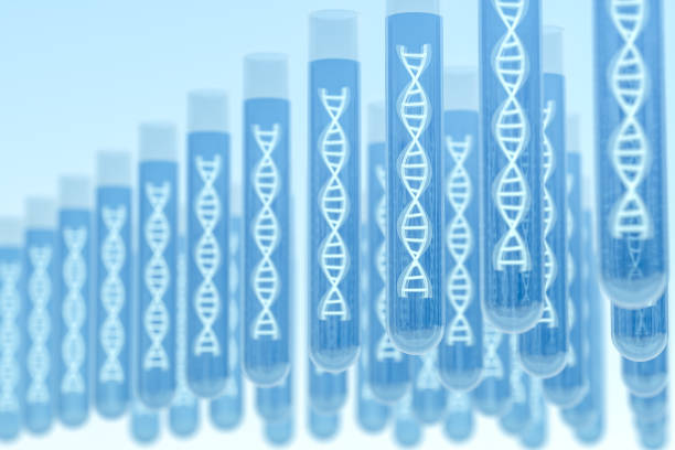 強(qiáng)直性脊柱炎基因檢測