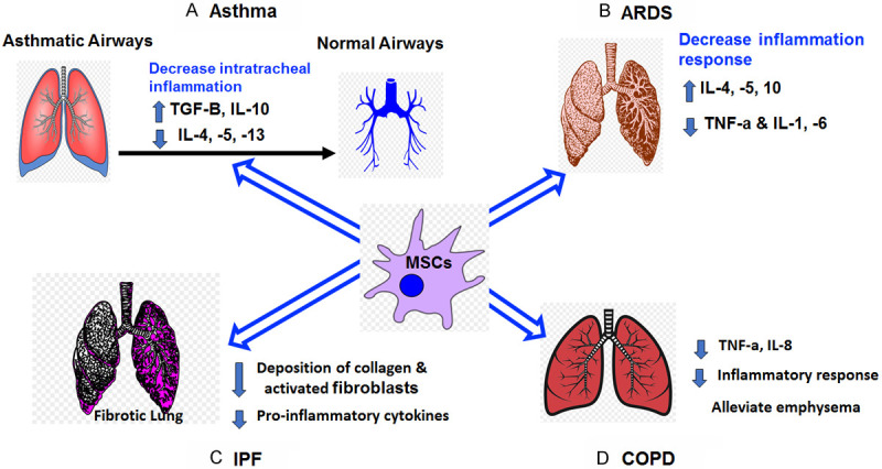 圖1：MSCs在主要肺部疾病和病癥中的主要功能總結。