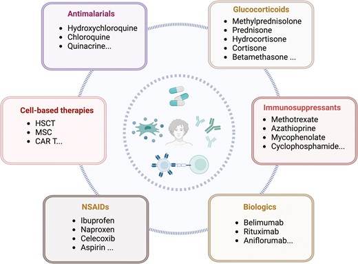 圖1:系統(tǒng)性紅斑狼瘡 (SLE) 的各種治療策略。 圖1:系統(tǒng)性紅斑狼瘡 (SLE) 的各種治療策略。