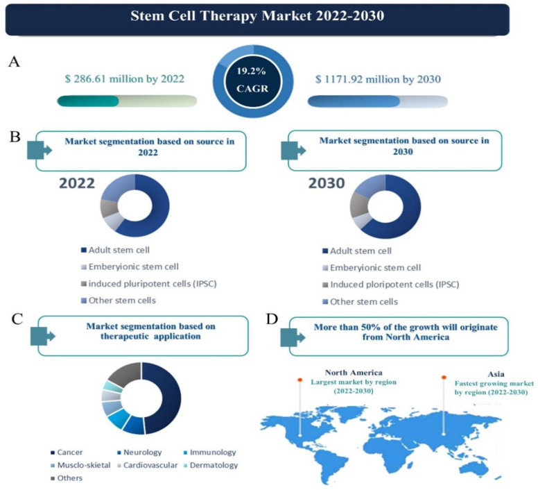 干細(xì)胞治療市場(chǎng) 2022-2030 干細(xì)胞治療市場(chǎng) 2022-2030