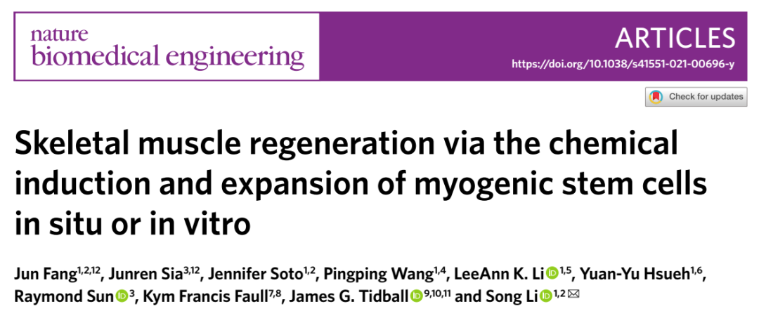 骨骼肌再生通過化學誘導和擴張的肌源性干細胞在原位或體外 骨骼肌再生通過化學誘導和擴張的肌源性干細胞在原位或體外