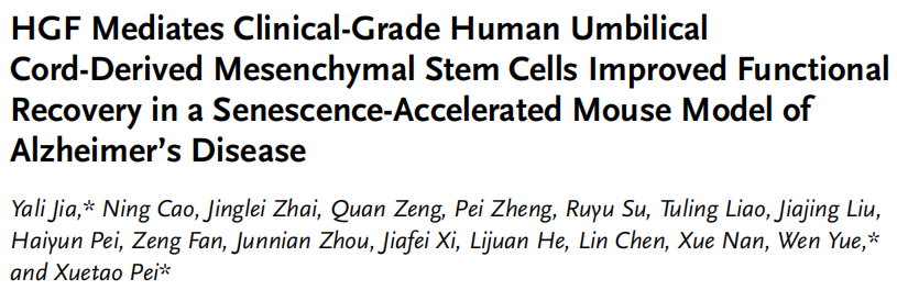 HGF 介導臨床級人臍帶間充質干細胞改善阿爾茨海默病衰老加速小鼠模型的功能恢復 HGF 介導臨床級人臍帶間充質干細胞改善阿爾茨海默病衰老加速小鼠模型的功能恢復