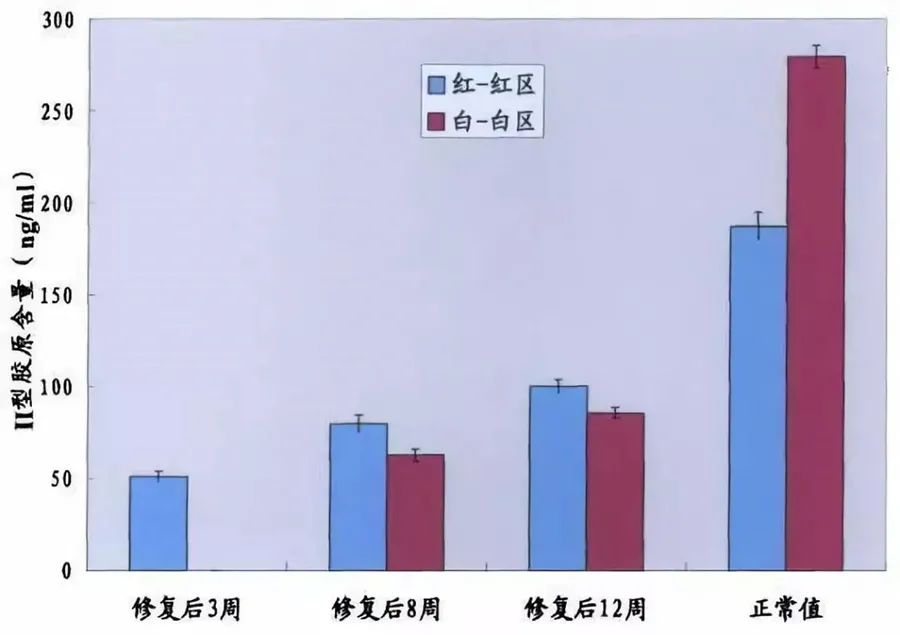 不同時間點修復組織紅-紅區與白-白區II型膠原表達量 不同時間點修復組織紅-紅區與白-白區II型膠原表達量