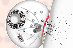 優(yōu)于傳統(tǒng)療法