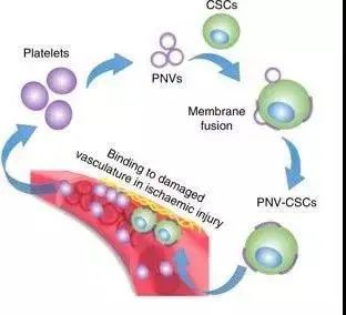 2018年干細胞治療心血管疾病臨床案例 2018年干細胞治療心血管疾病臨床案例