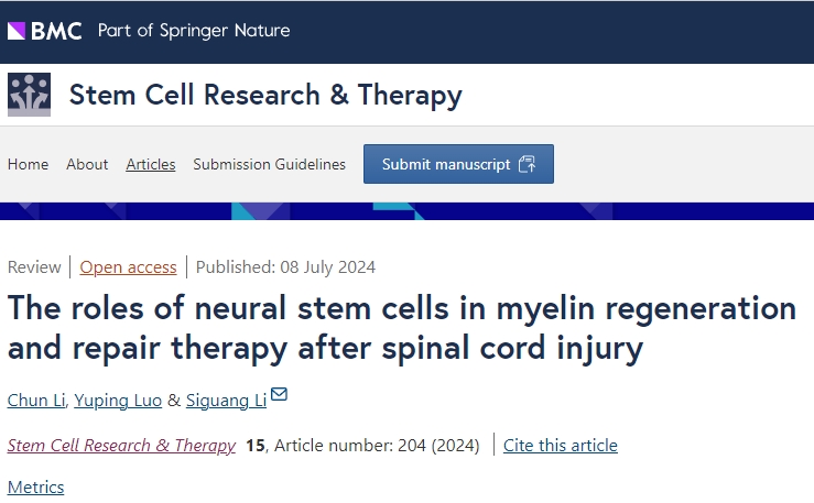 神經干細胞移植在修復脊髓損傷后髓鞘再生和治療中的作用 神經干細胞移植在修復脊髓損傷后髓鞘再生和治療中的作用