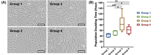 健康組（第1組）和2型糖尿病患者的自體骨髓來源間充質(zhì)干細胞（BM-MSCs）的表征對比