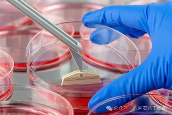 什么是干細胞療法？