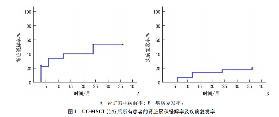 臍帶間充質(zhì)干細胞移植治療難治性狼瘡性腎炎的遠期預后分析 臍帶間充質(zhì)干細胞移植治療難治性狼瘡性腎炎的遠期預后分析
