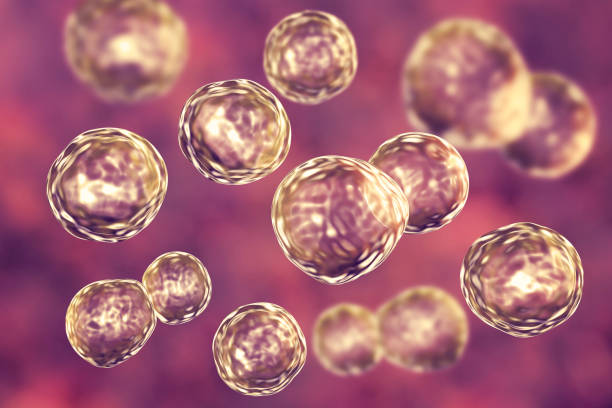 中國的人類多能干細胞生物庫的發展要迎來拐點了嗎? 中國的人類多能干細胞生物庫的發展要迎來拐點了嗎?