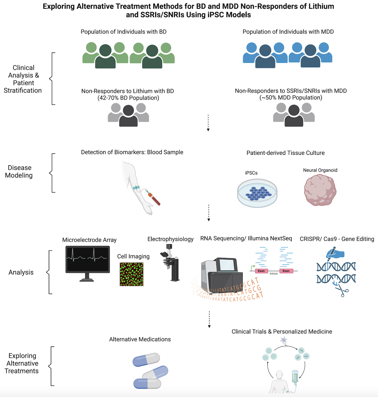 圖3-使用iPSC模型探索對鋰和SSRI/SNRI無反應的BD和MDD患者的替代治療方法。 圖3-使用iPSC模型探索對鋰和SSRI/SNRI無反應的BD和MDD患者的替代治療方法。