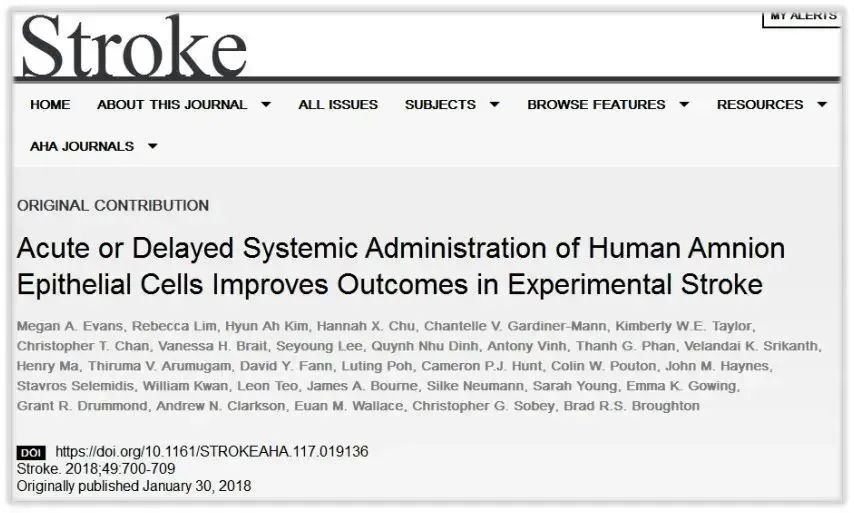 急性或延遲全身給藥羊膜上皮細(xì)胞改善實驗性腦卒中的預(yù)后