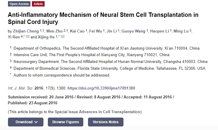 神經(jīng)干細(xì)胞移植治療脊髓損傷的抗炎機(jī)制 神經(jīng)干細(xì)胞移植治療脊髓損傷的抗炎機(jī)制