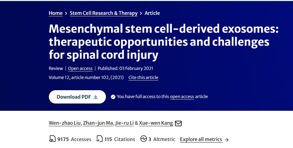 間充質(zhì)干細(xì)胞衍生的外泌體:脊髓損傷的治療機(jī)遇和挑戰(zhàn) 間充質(zhì)干細(xì)胞衍生的外泌體:脊髓損傷的治療機(jī)遇和挑戰(zhàn)