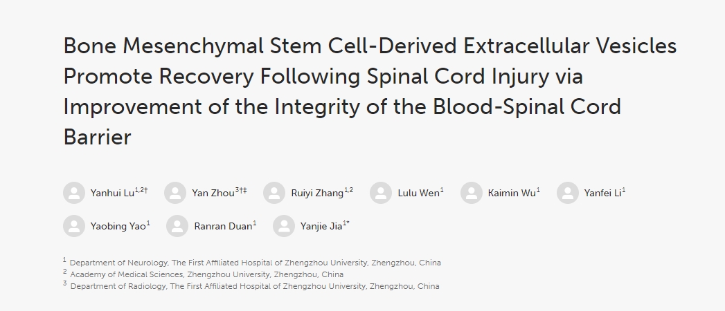 骨髓間充質(zhì)干細(xì)胞衍生的細(xì)胞外囊泡通過(guò)改善血脊髓屏障的完整性促進(jìn)脊髓損傷后的恢復(fù) 骨髓間充質(zhì)干細(xì)胞衍生的細(xì)胞外囊泡通過(guò)改善血脊髓屏障的完整性促進(jìn)脊髓損傷后的恢復(fù)