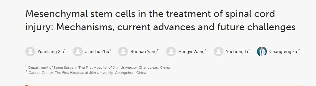 間充質(zhì)干細(xì)胞治療脊髓損傷:機(jī)制、當(dāng)前進(jìn)展和未來(lái)挑戰(zhàn) 間充質(zhì)干細(xì)胞治療脊髓損傷:機(jī)制、當(dāng)前進(jìn)展和未來(lái)挑戰(zhàn)