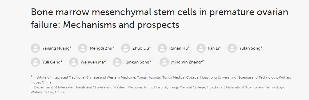 骨髓間充質(zhì)干細(xì)胞在卵巢早衰中的作用：機(jī)制與前景