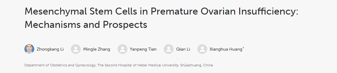 間充質(zhì)干細(xì)胞在卵巢早衰中的作用：機(jī)制與前景