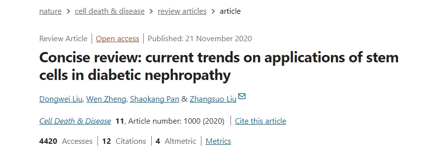 簡述：干細胞在糖尿病腎病中的應用現狀