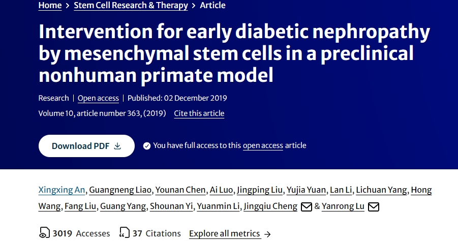 間充質干細胞在臨床前非人類靈長類動物模型中對早期糖尿病腎病的干預