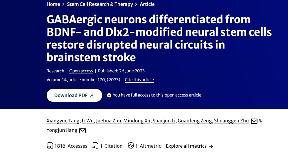 由BDNF和Dlx2修飾的神經干細胞分化而來的GABA能神經元可修復腦干中風時受損的神經回路 由BDNF和Dlx2修飾的神經干細胞分化而來的GABA能神經元可修復腦干中風時受損的神經回路