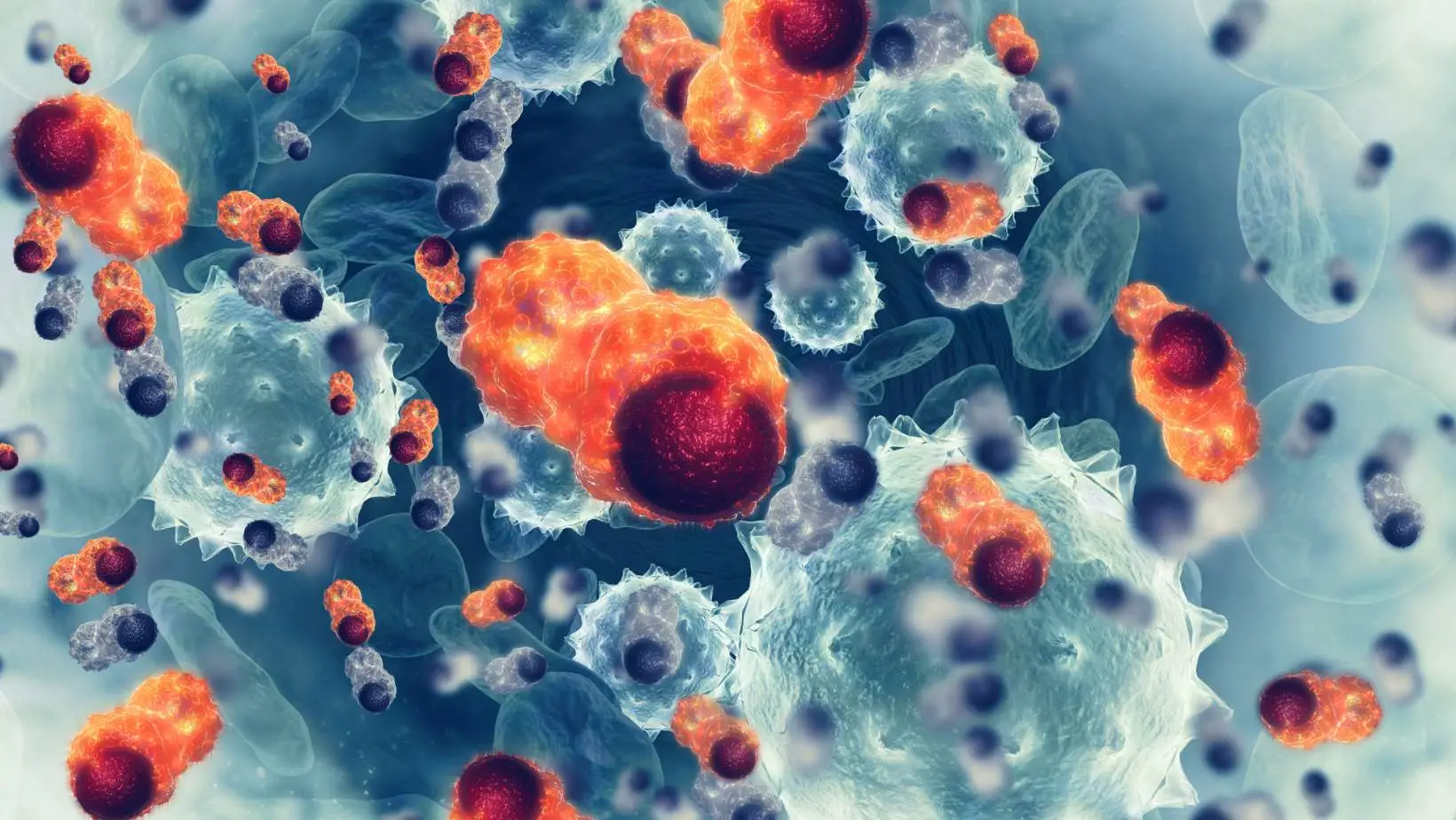 干細胞飲食:如何通過飲食更好的再生和治愈 干細胞飲食:如何通過飲食更好的再生和治愈