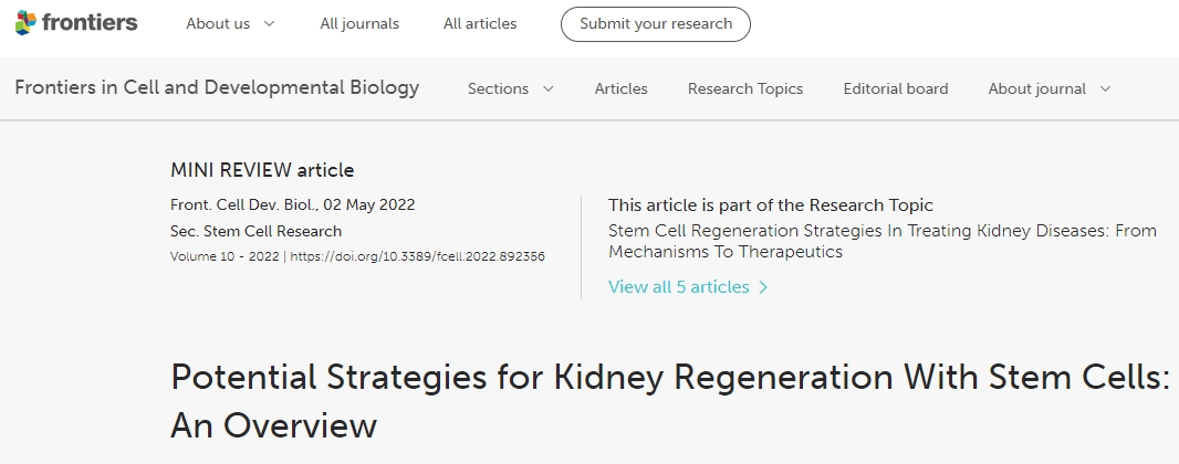利用干細胞進行腎臟再生的潛在策略：概述