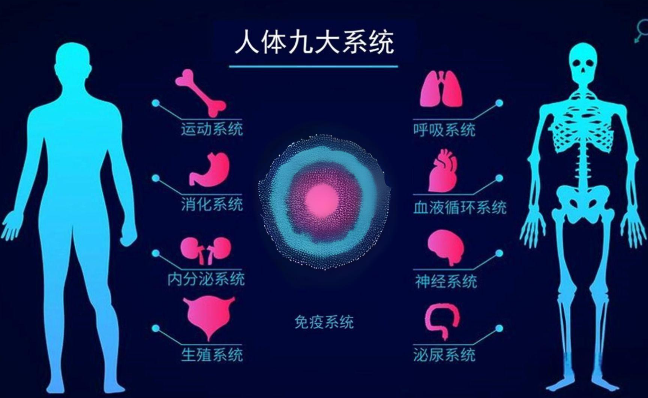 2024干細胞療法前沿：九大系統7200+臨床試驗，攻克200+疾病在即