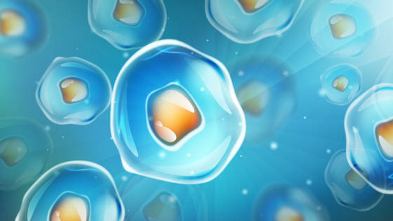 干細胞治療2型糖尿病的作用原理