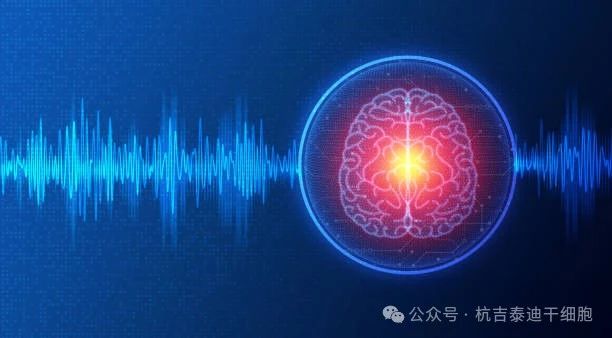 01神經(jīng)系統(tǒng)疾病的簡介與背景 01神經(jīng)系統(tǒng)疾病的簡介與背景