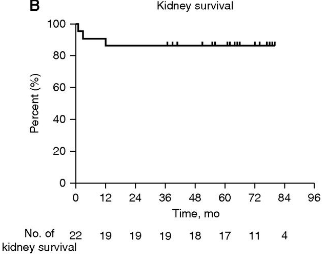 總體 5 年腎臟生存率為 86% 總體 5 年腎臟生存率為 86%
