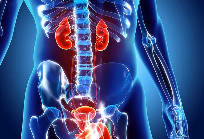 您通常可以降低患腎病的風(fēng)險(xiǎn)或阻止其進(jìn)展。 您通常可以降低患腎病的風(fēng)險(xiǎn)或阻止其進(jìn)展。