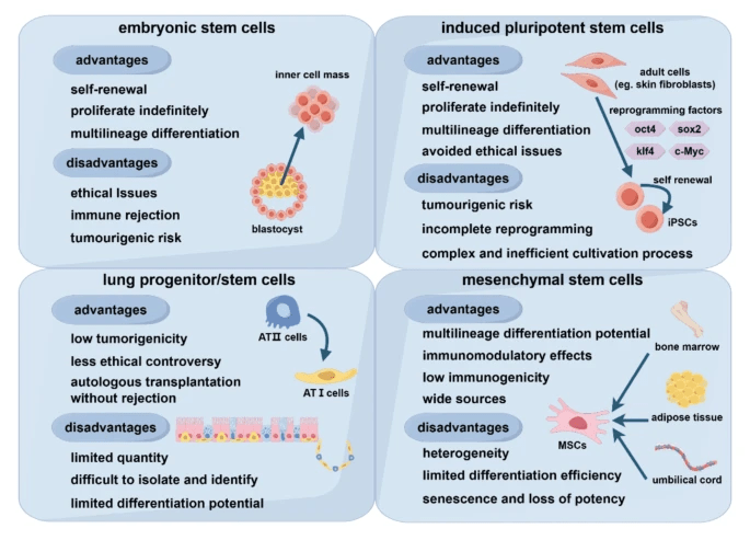 圖2:不同類型干細胞的優點和缺點。 圖2:不同類型干細胞的優點和缺點。