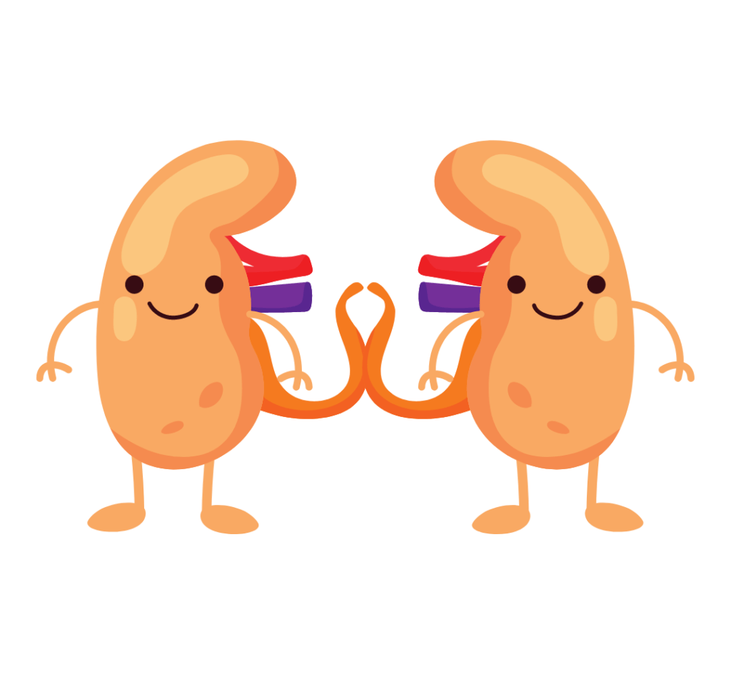 干細胞療法對治療腎臟疾病和腎移植的研究進展 干細胞療法對治療腎臟疾病和腎移植的研究進展