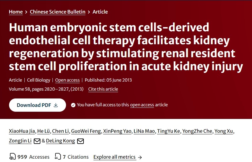 人類(lèi)胚胎干細(xì)胞衍生的內(nèi)皮細(xì)胞療法通過(guò)刺激急性腎損傷中腎臟駐留干細(xì)胞增殖促進(jìn)腎臟再生