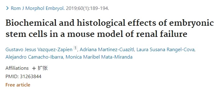 胚胎干細(xì)胞在小鼠腎衰竭中的生化和組織學(xué)作用