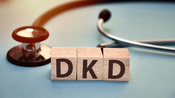 4類間充質(zhì)干細(xì)胞及其衍生的外泌體在糖尿病腎病中的作用 4類間充質(zhì)干細(xì)胞及其衍生的外泌體在糖尿病腎病中的作用